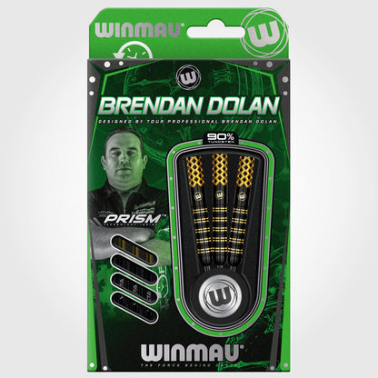 Brendan Dolan Player Darts