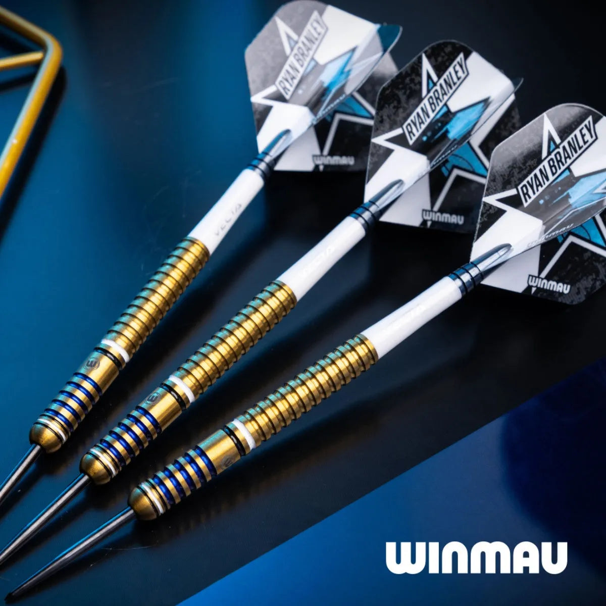 Ryan Branley Signature Darts - 90% Tungsten Steel Tip