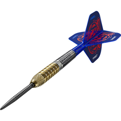 Raymond Van Barneveld 95% Gen 6 Sp Steel Tip Darts 2025