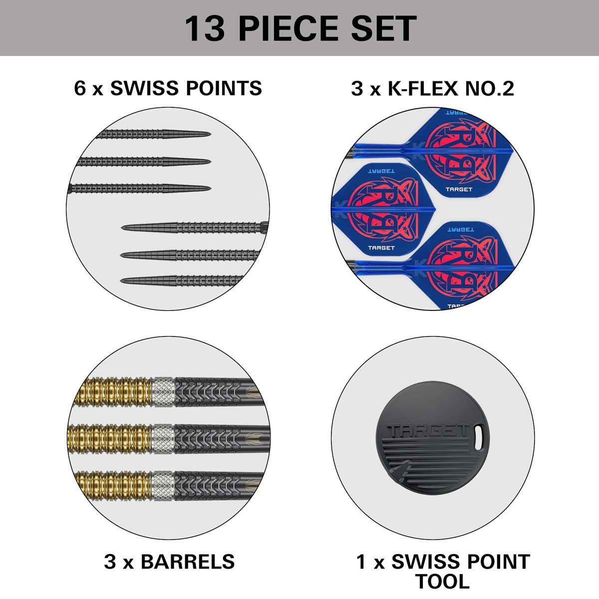 Raymond Van Barneveld 95% Gen 6 Sp Steel Tip Darts 2025